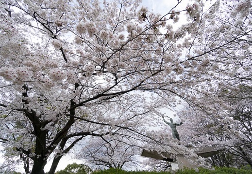 201403301645-DSC01764N.jpg