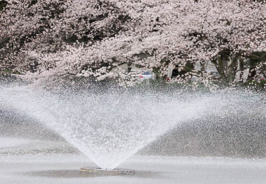 201403301654-DSC01064.jpg