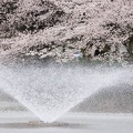 201403301654-DSC01064.jpg