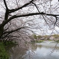201403301704-DSC01784N.jpg