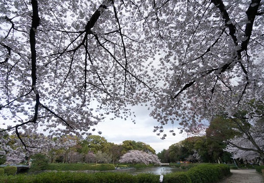 201403301710-DSC01797N.jpg