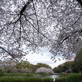 201403301710-DSC01797N.jpg