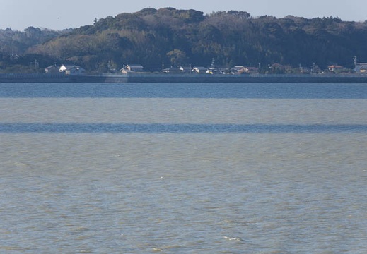 201403310750-DSC01171.jpg