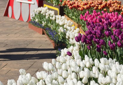 201403310844-DSC01184.jpg