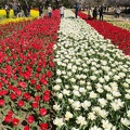 201403310939-DSC02008N.jpg