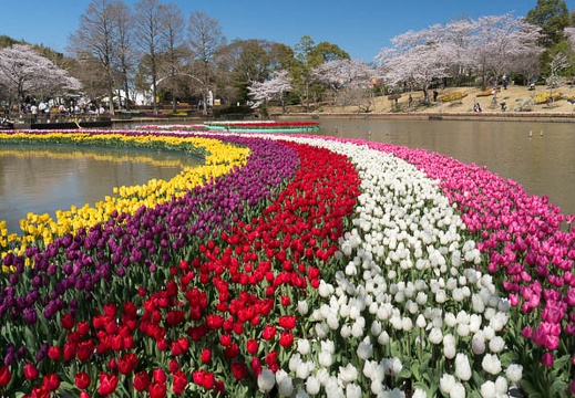 201403311007-DSC02067N.jpg