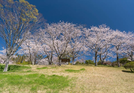 201403311035-DSC02106N.jpg
