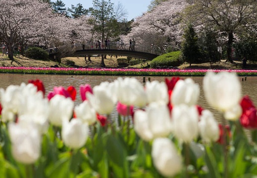 201403311041-DSC01314.jpg