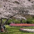 201403311127-DSC01378.jpg