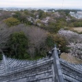 201403311740-DSC02402N.jpg