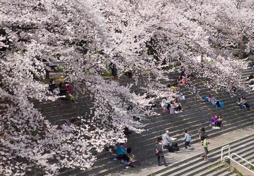 201404011323-DSC04980R.jpg