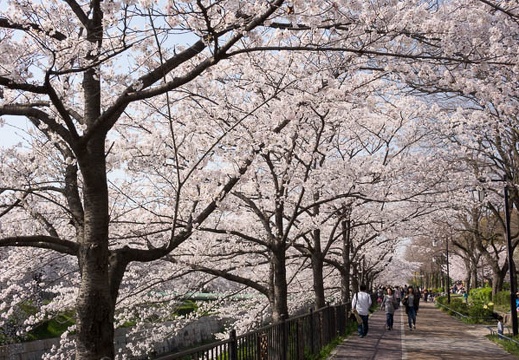 201404011437-DSC05141R.jpg