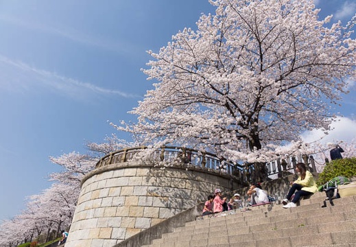 201404011447-DSC05170R.jpg