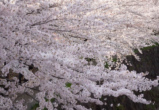 201404011524-DSC05291R.jpg