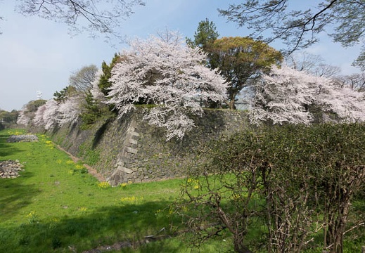 201404020914-DSC05469R.jpg
