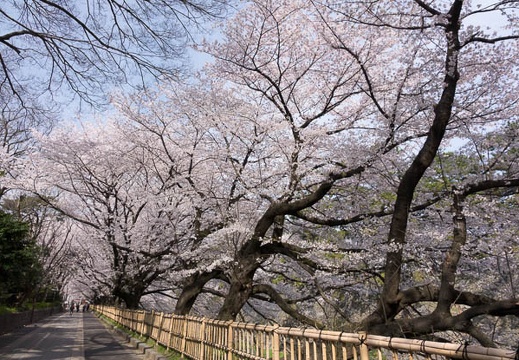201404020930-DSC05511R.jpg