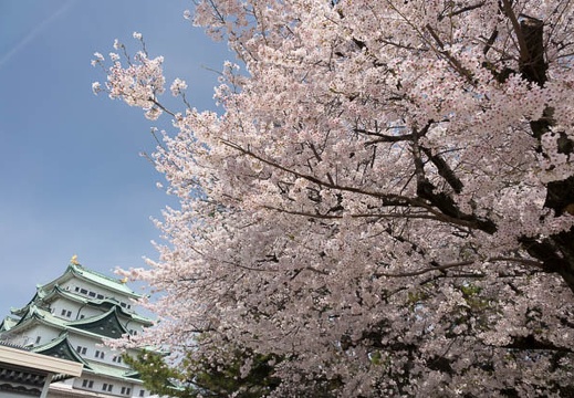 201404021010-DSC05655R.jpg