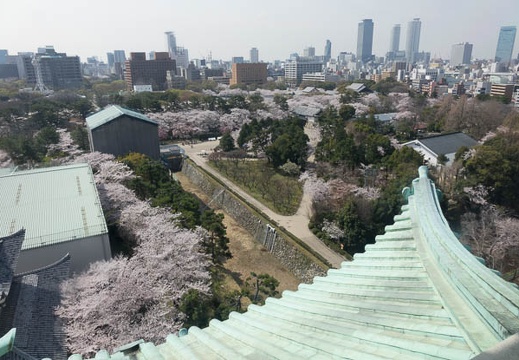 201404021022-DSC05697R.jpg