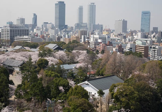 201404021026-DSC05718R.jpg