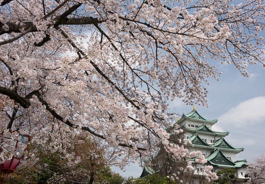 201404021121-DSC05882R.jpg