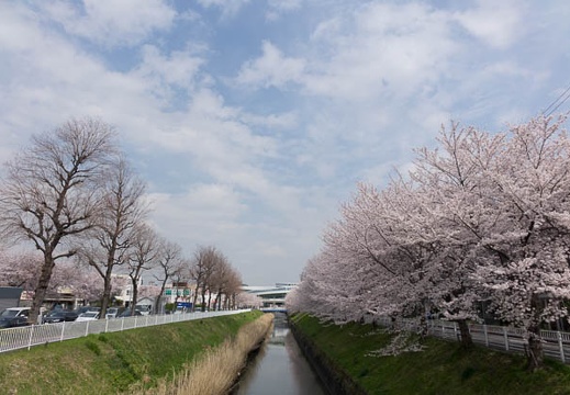 201404021313-DSC06176R.jpg