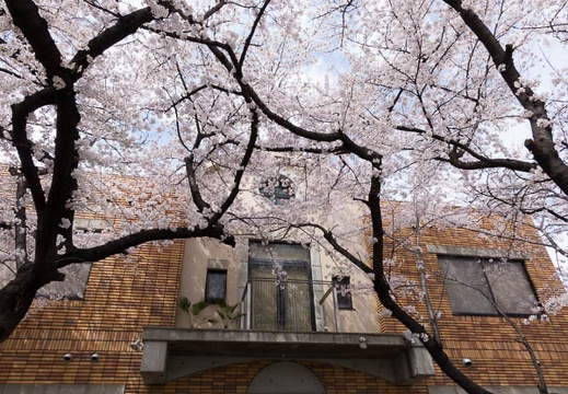 201404021351-DSC06294R.jpg