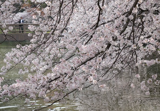 201404021415-DSC06340R.jpg