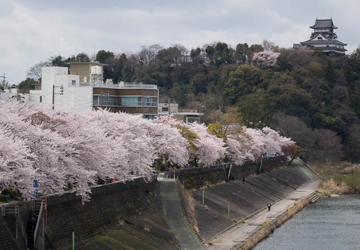 201404041049-DSC06673R.jpg