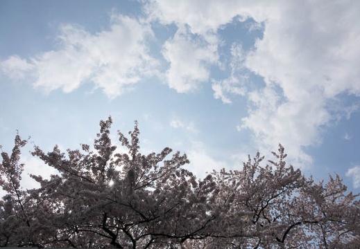 201404041059-DSC06707R.jpg