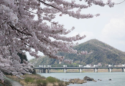 201404041102-DSC06718R.jpg