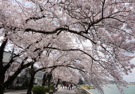 201404041104-DSC06730R.jpg