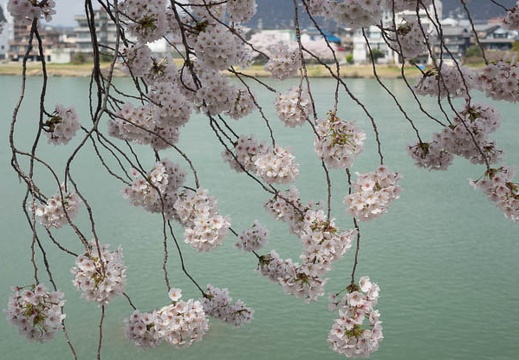 201404041108-DSC06756R.jpg