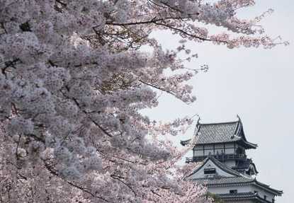 201404041114-DSC06774R.jpg