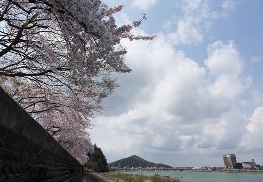 201404041114-DSC06776R.jpg