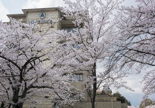 201404041122-DSC06805R.jpg