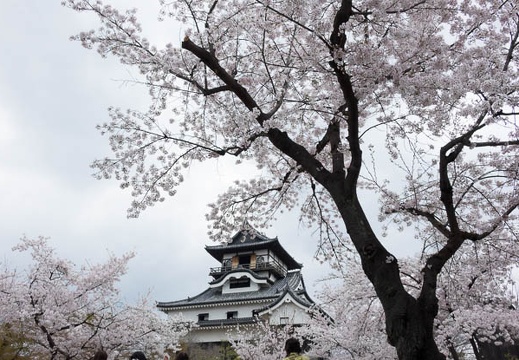 201404041209-DSC06931R.jpg