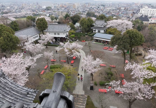 201404041224-DSC06964R.jpg