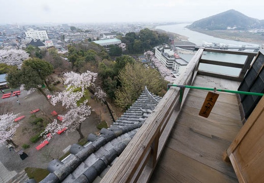 201404041231-DSC02590N.jpg