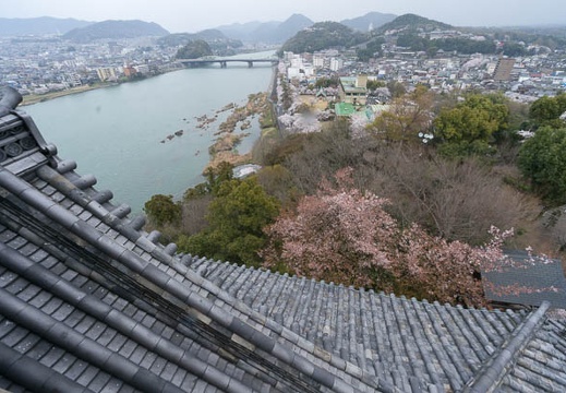 201404041233-DSC02596N.jpg
