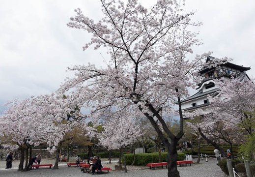 201404041252-DSC07060R.jpg