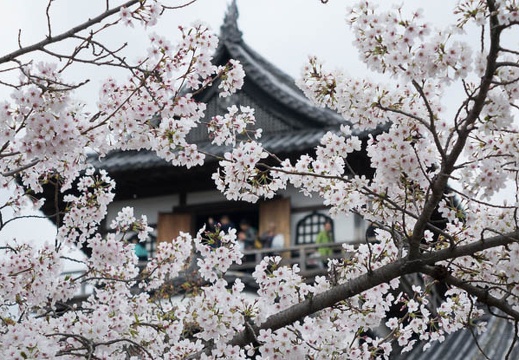 201404041253-DSC07065R.jpg