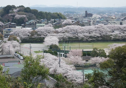 201404041259-DSC07083R.jpg
