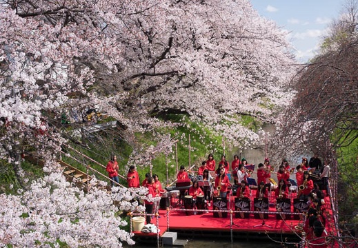 201404051006-DSC07688R.jpg