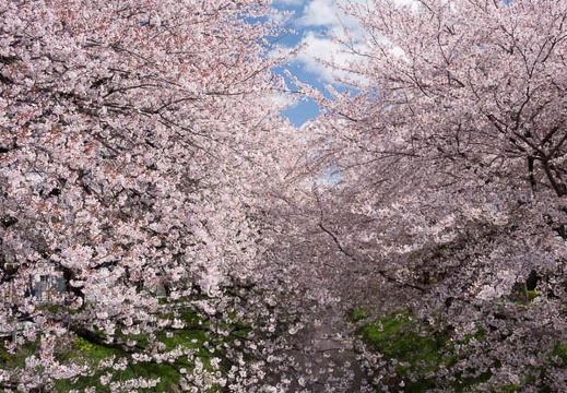 201404051047-DSC07804R.jpg