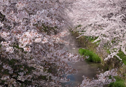 201404051124-DSC07910R.jpg
