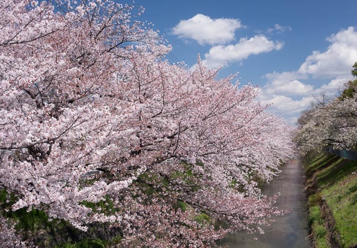 201404051146-DSC08002R.jpg