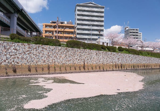 201404051221-DSC08140R.jpg