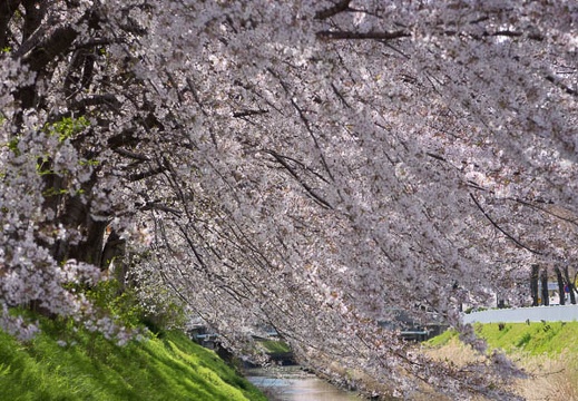 201404051238-DSC08188R.jpg