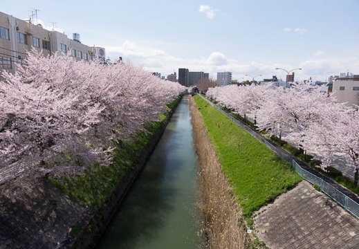 201404051241-DSC08196R.jpg