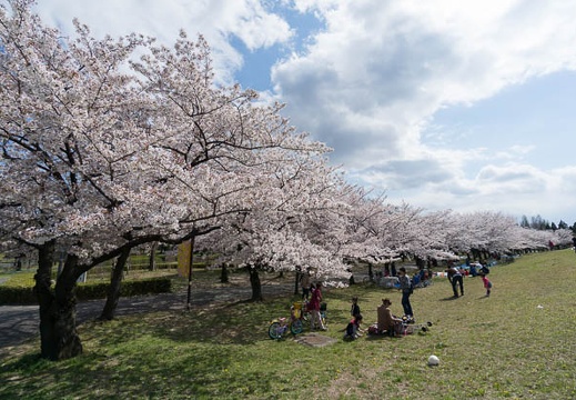 201404051357-DSC02764N.jpg